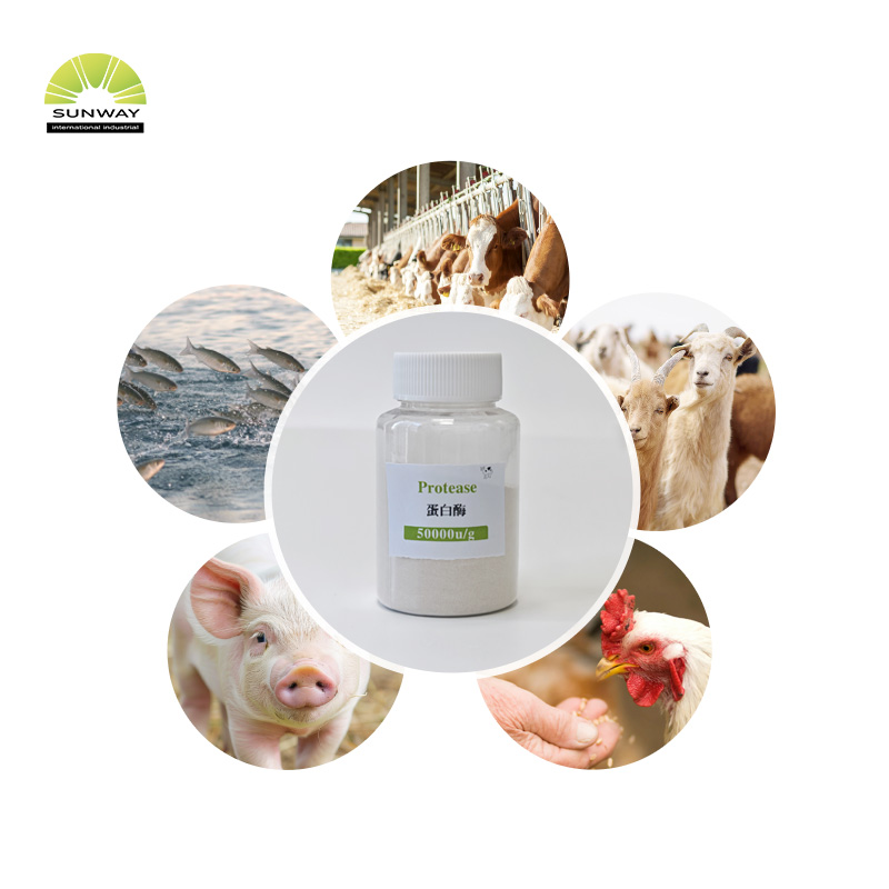 Поставка на заводе кормового качества пищевой щелочной ферментный порошок протеазы Cas 9014-01-1