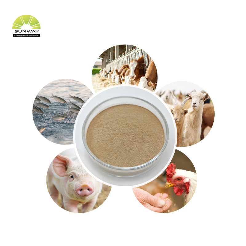 Высокое качество термостабильного ферментного порошка альфа-амилазы цена