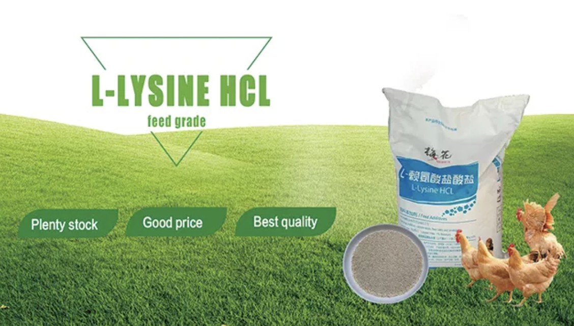 截屏2025-10-14 13.57.13