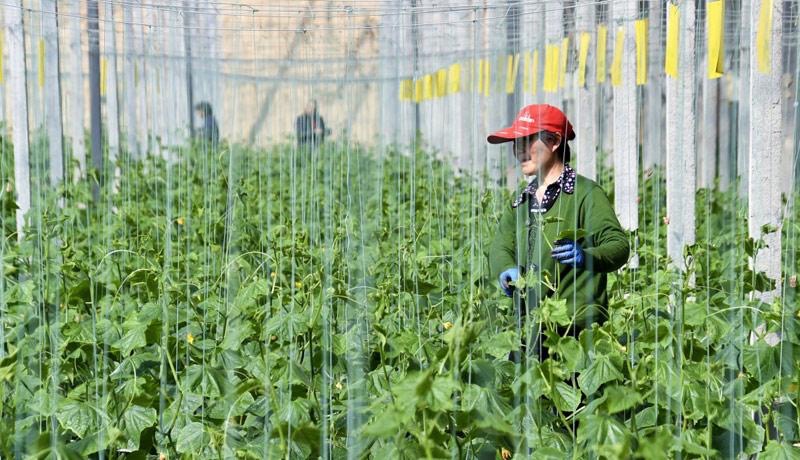 105E6239-968E-4116-AF4E-BD9D9BE22AB1