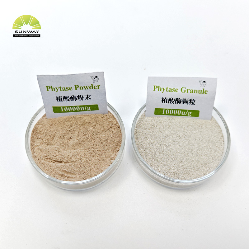 Фермент фитазы кормового качества для птицы кисловочный стабильный порошок фитазы фитаза 5000 и 10000 доступны