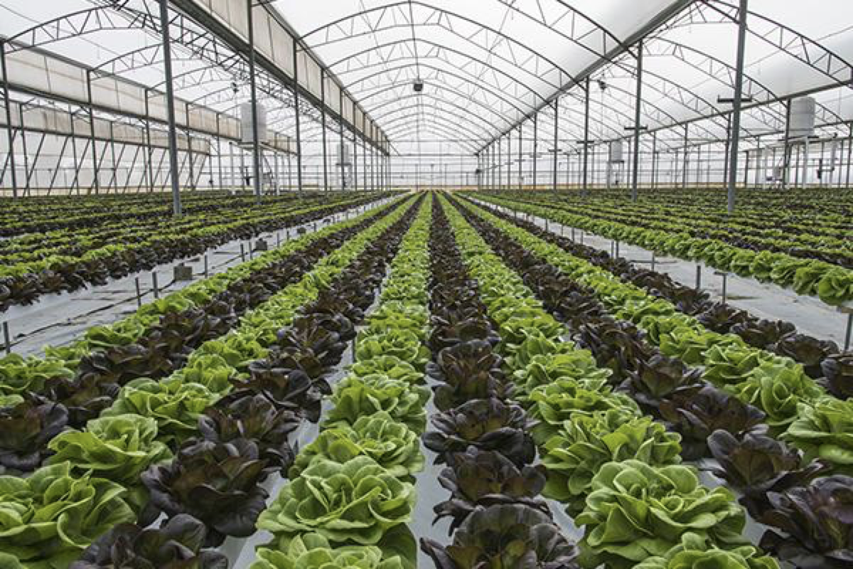 81DB586A-352E-4F7D-8369-28DEA62C11FA